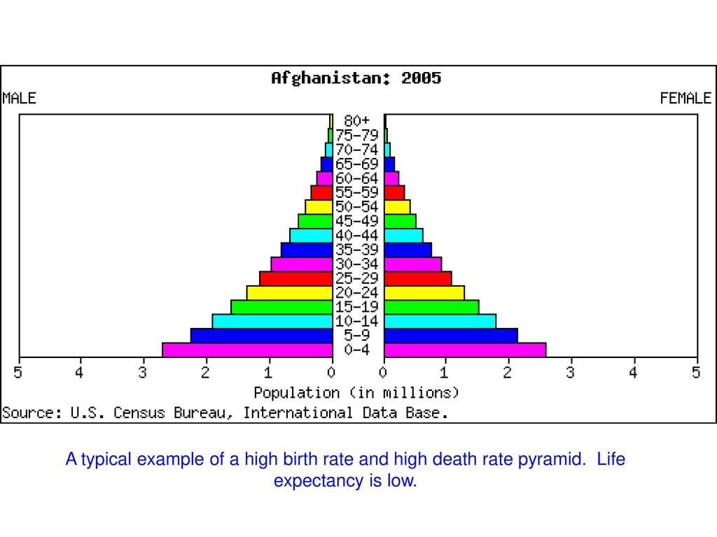 introduction-to-population-pyramids-ppt-download