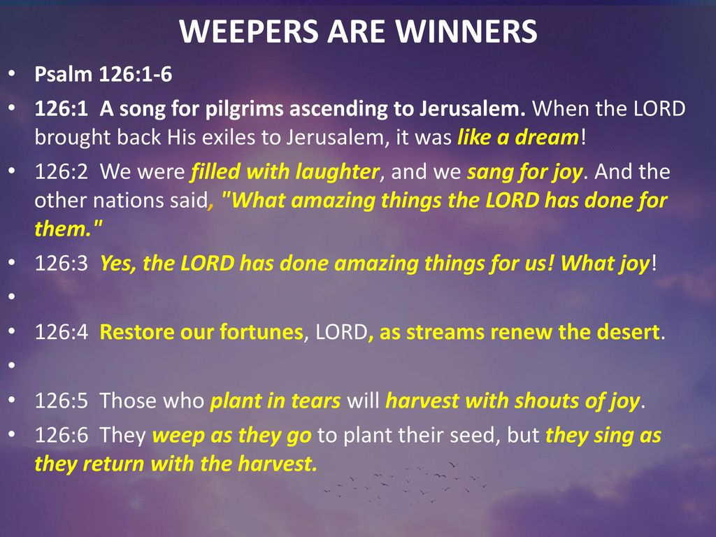 SOW UP STIRRED Psalm 126 Weepers ARE Winners Ppt Download sow-up-stirred-psalm-126-weepers-are-winners-ppt-download