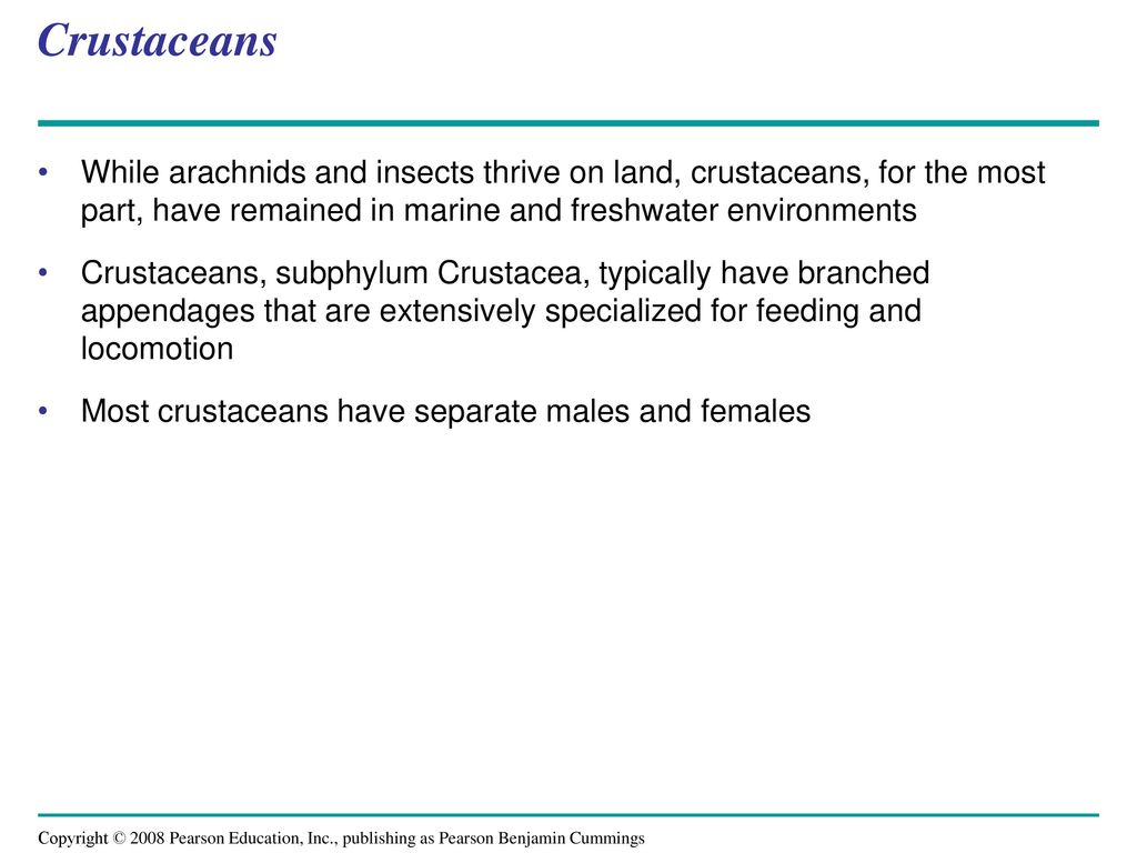 Crustaceans While arachnids and insects thrive on land, crustaceans, for the most part, have remained in marine and freshwater environments.