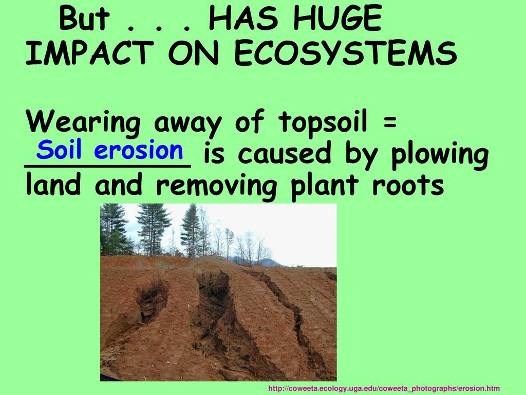 AGRICULTURE and HUMAN IMPACT on the BIOSPHERE Chapter 6 - ppt download