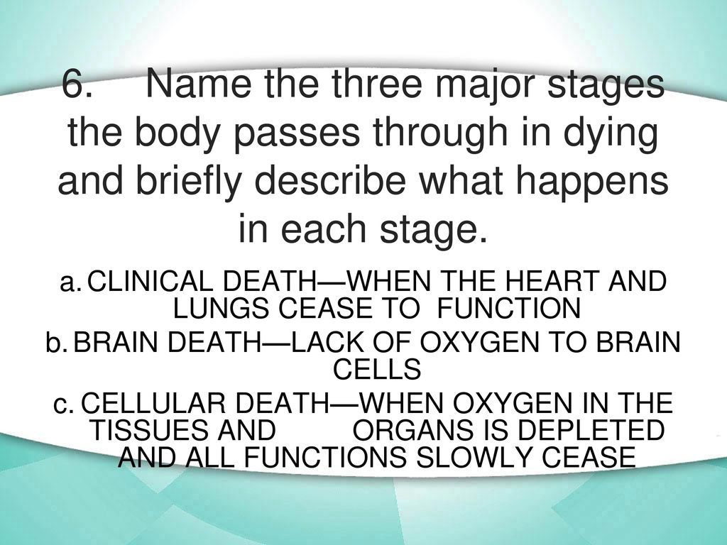 6. Name the three major stages the body passes through in dying and briefly describe what happens in each stage.