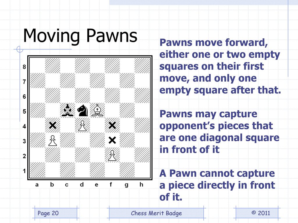 There are a lot of Chess 2 versions. In the last round, Polytopia (Not enough chess) and Loooooooooooooooong Chess (Too boring) were eliminated. Round 8: Eliminate 1 candidate from the list and