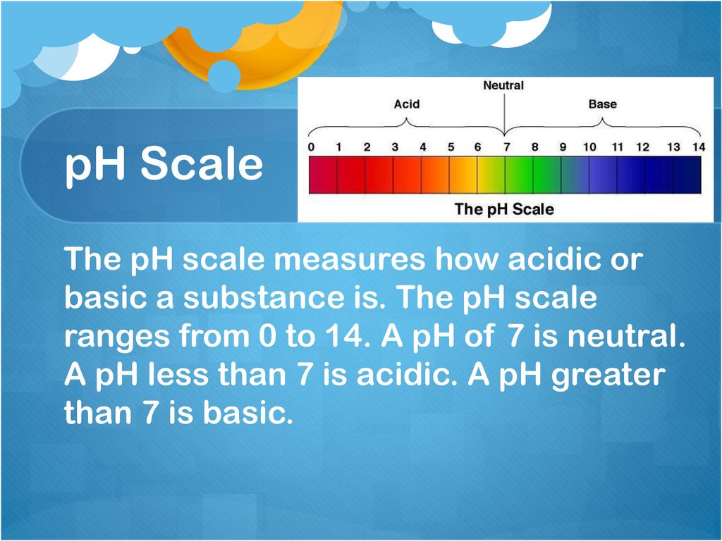 Effects on Enzyme Reaction Rates - ppt download