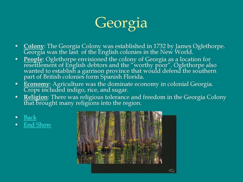 Georgia Colony: The Georgia Colony was established in 1732 by James Oglethorpe. Georgia was the last of the English colonies in the New World.