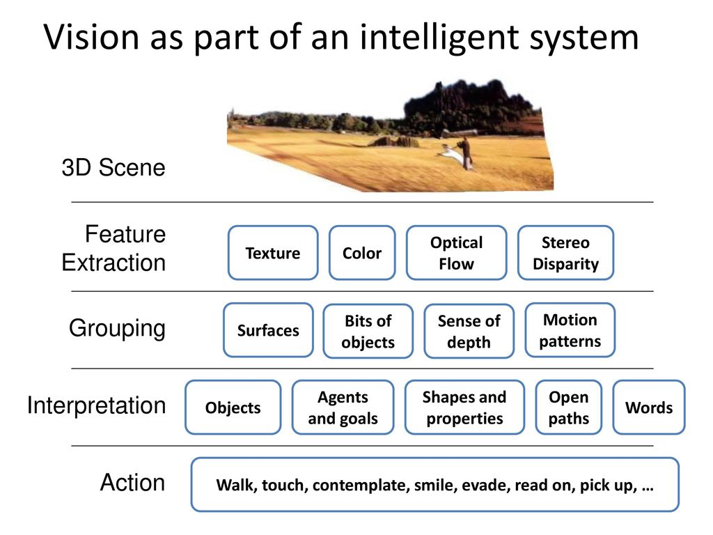 Vision as part of an intelligent system