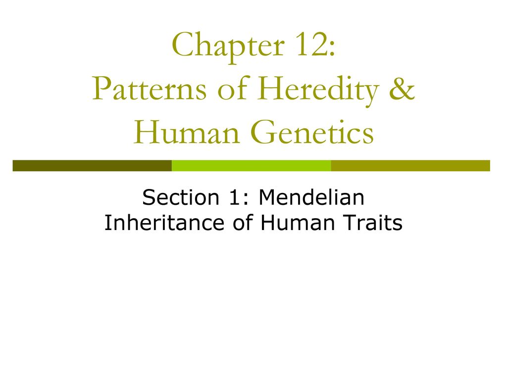 Chapter 12 Patterns of Heredity & Human ppt download