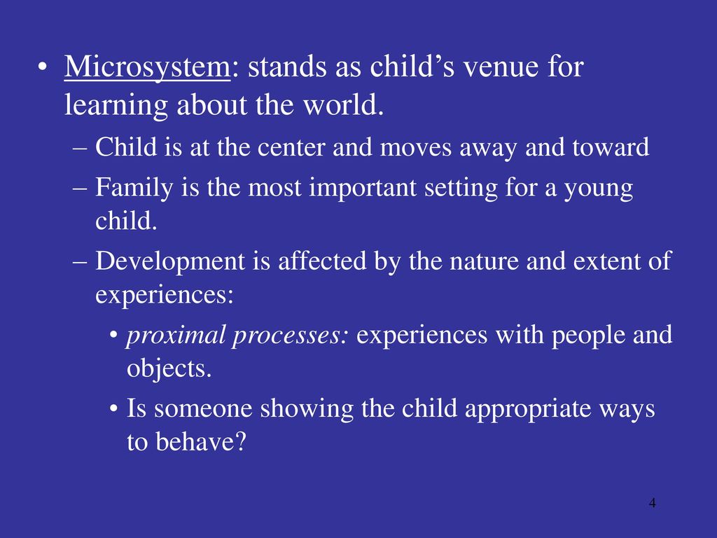 macrosystem child development