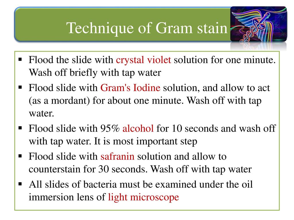 Technique of Gram stain
