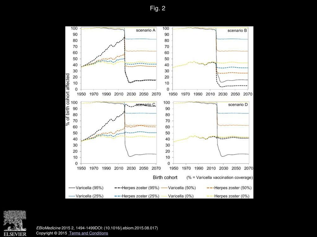 Fig. 2 Impact of varicella vaccination by birth cohort on the occurrence of varicella and herpes zoster.