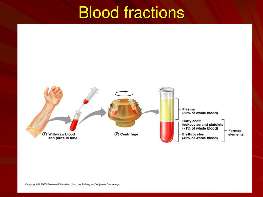 The Circulatory System I Blood - ppt download