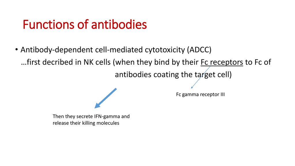 Effector mechanisms of humoral immunity ppt download