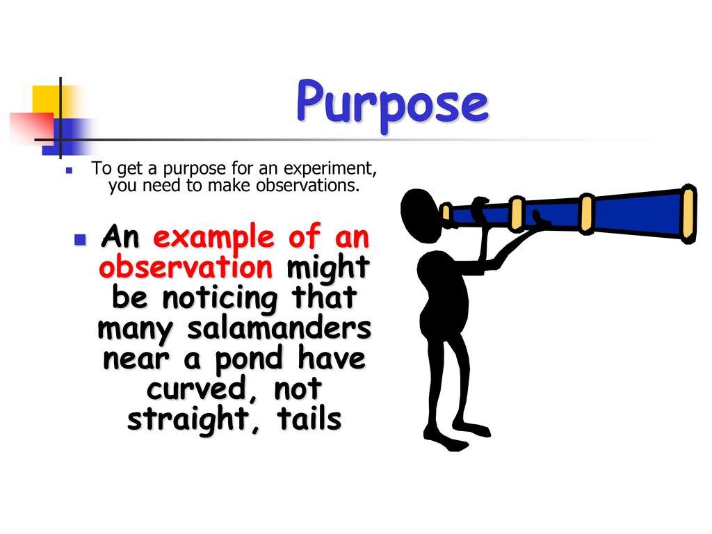 To get a purpose for an experiment, you need to make observations.