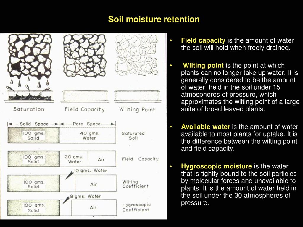 Lecture 3: Soil Ecological definition of soil - ppt download