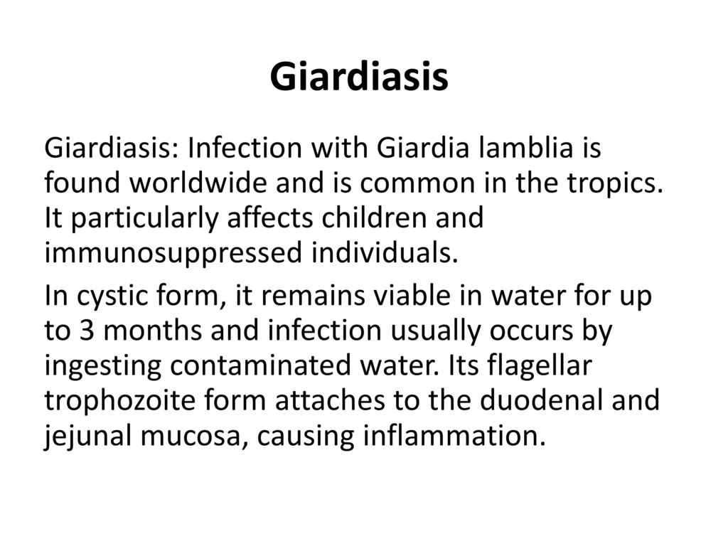Toxoplasmosis giardiasis, A Giardiasis kezelési rendszerének fóruma