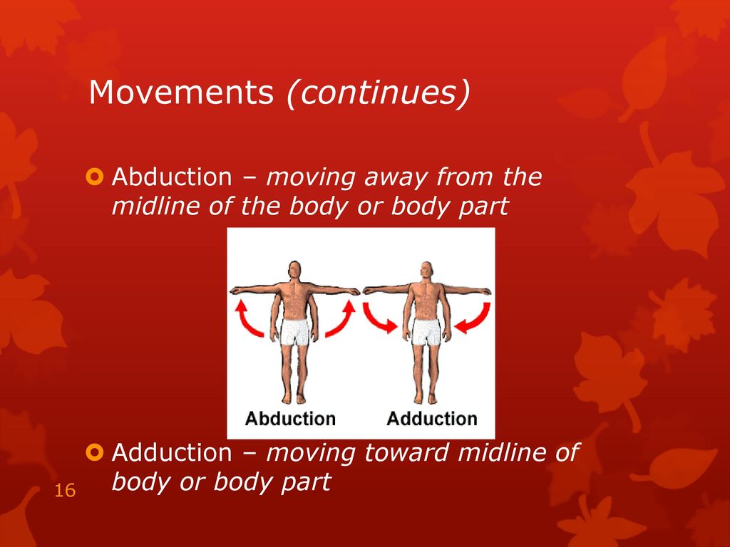 Anatomical Positions Kinesiology Unit ppt download