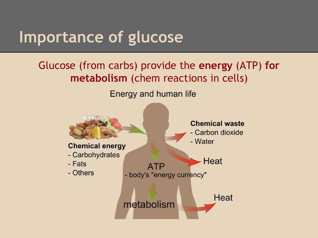 The Role of Glucose in Energy Production
