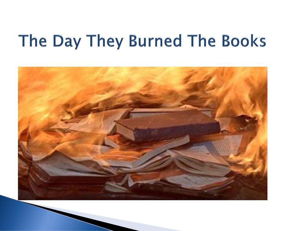 jean rhys the day they burned the books