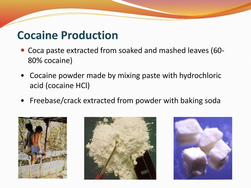 Cocaine Production Coca paste extracted from soaked and mashed leaves (60- 80% cocaine)