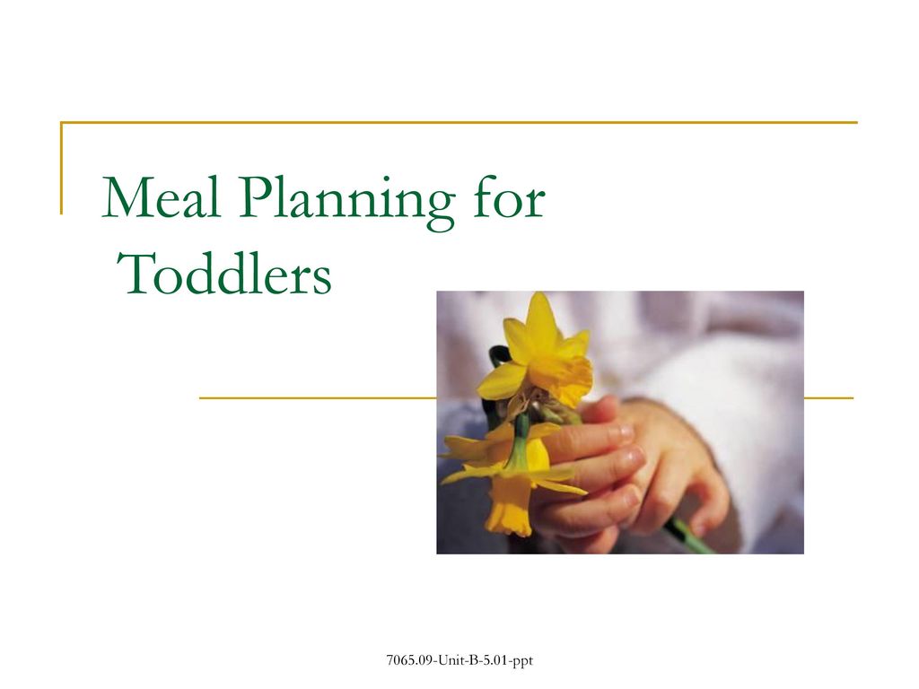 Meal Planning for Toddlers - ppt download