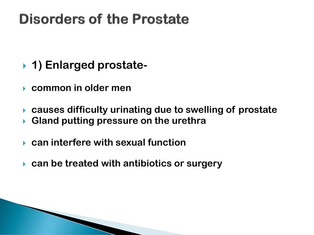The male reproductive system ppt download