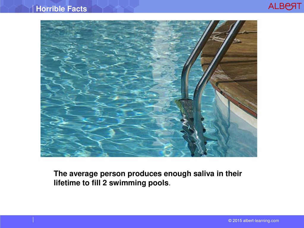 The average person produces enough saliva in their lifetime to fill 2 swimming pools.