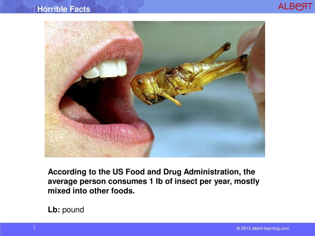 According to the US Food and Drug Administration, the average person consumes 1 lb of insect per year, mostly mixed into other foods.