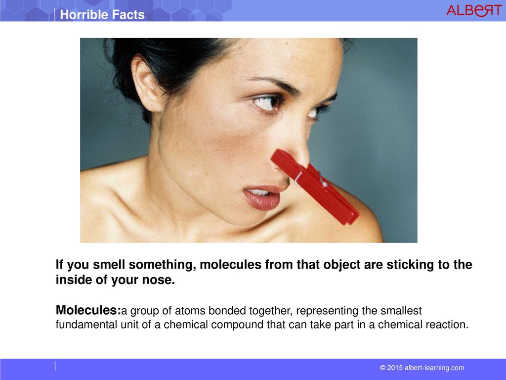 If you smell something, molecules from that object are sticking to the inside of your nose.