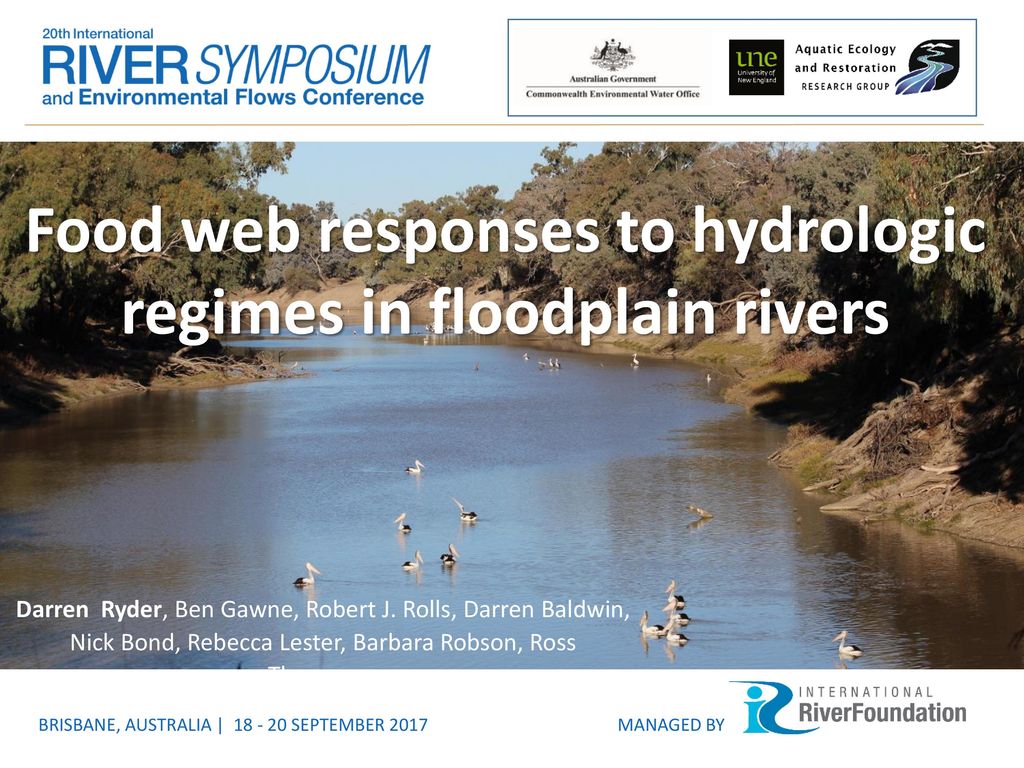Food web responses to hydrologic regimes in floodplain rivers