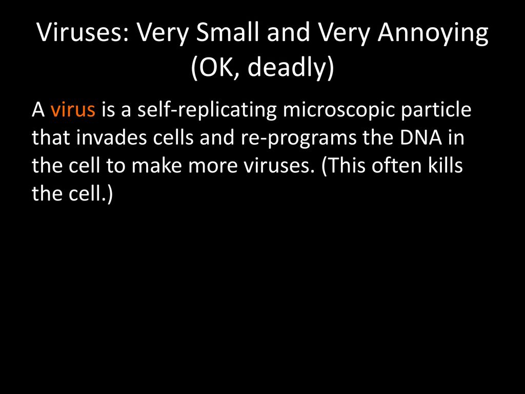 Viruses: Very Small and Very Annoying (OK, deadly)