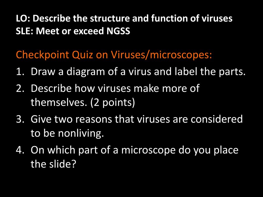 Checkpoint Quiz on Viruses/microscopes: