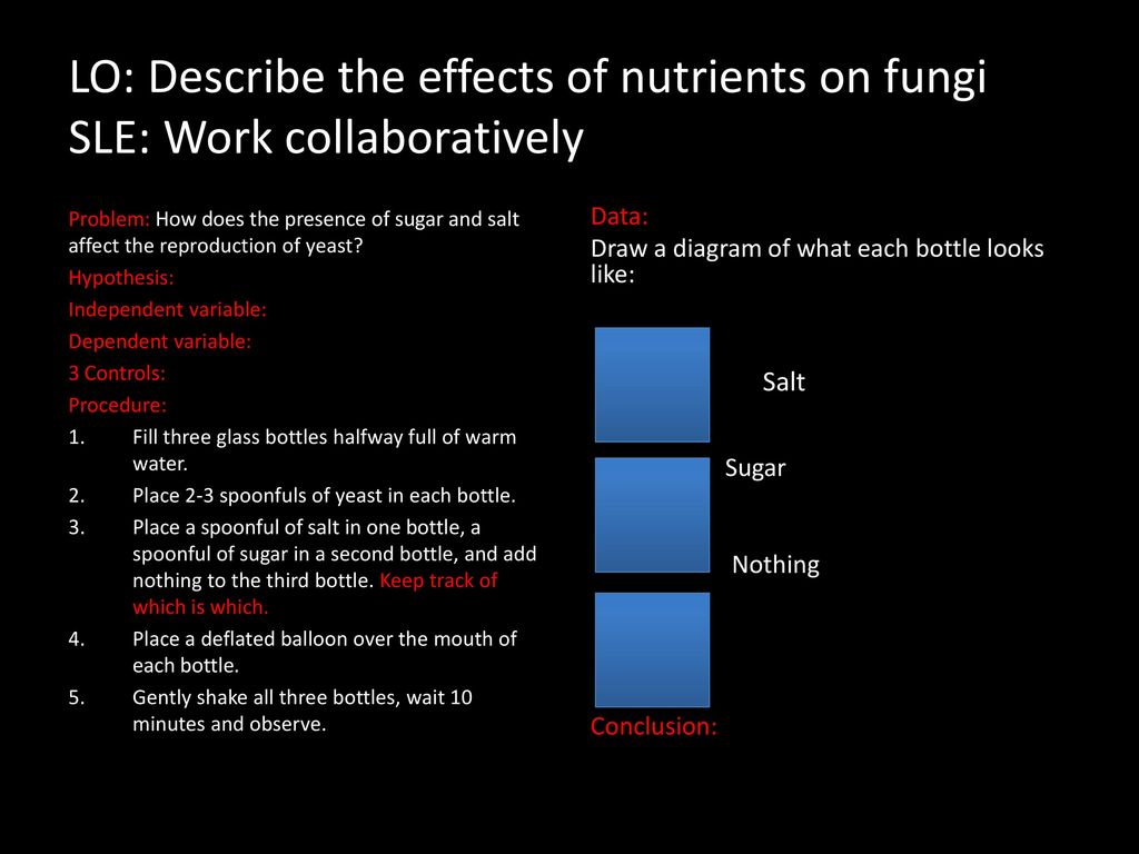 LO: Describe the effects of nutrients on fungi SLE: Work collaboratively