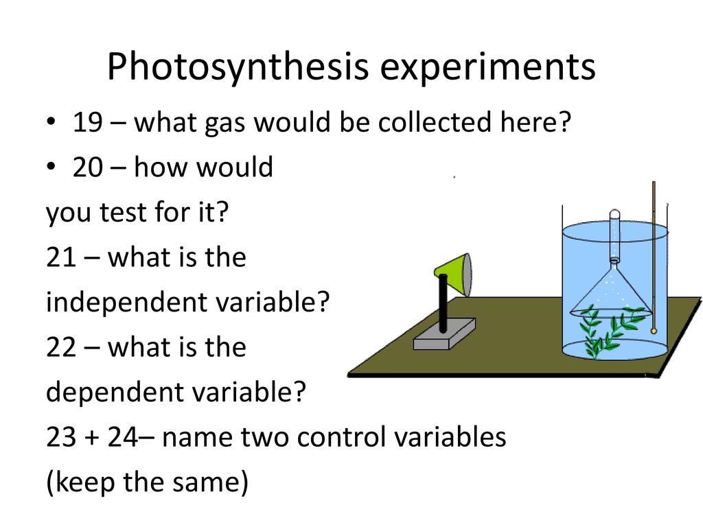 Photosynthesis experiments