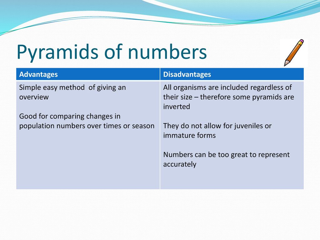 Pyramids of numbers Advantages Disadvantages