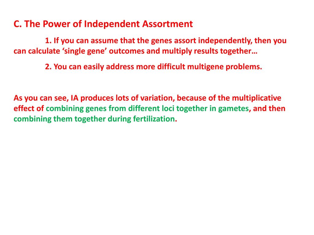 C. The Power of Independent Assortment