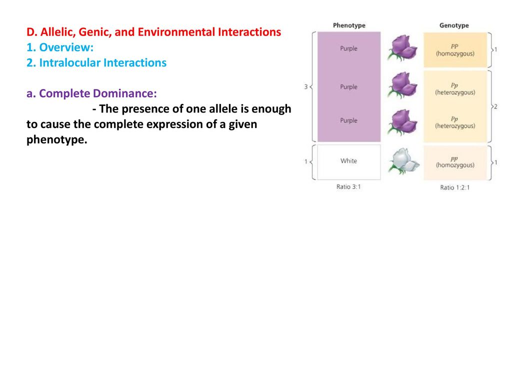 D. Allelic, Genic, and Environmental Interactions