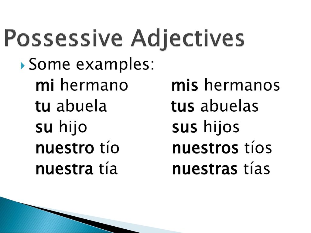 Possessive Adjectives - ppt download