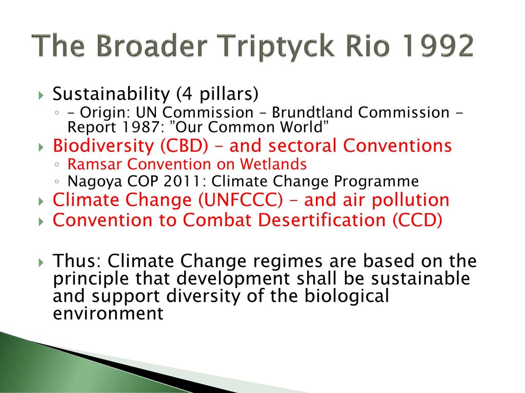 The Broader Triptyck Rio 1992
