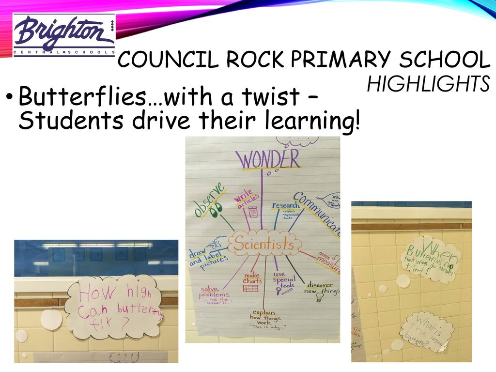 Council Rock Primary School Highlights