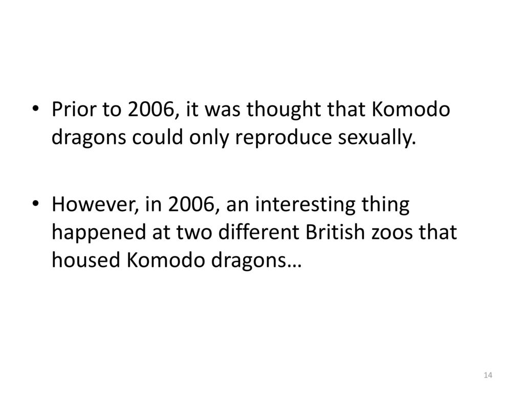 Sex and the Komodo Dragon - ppt download