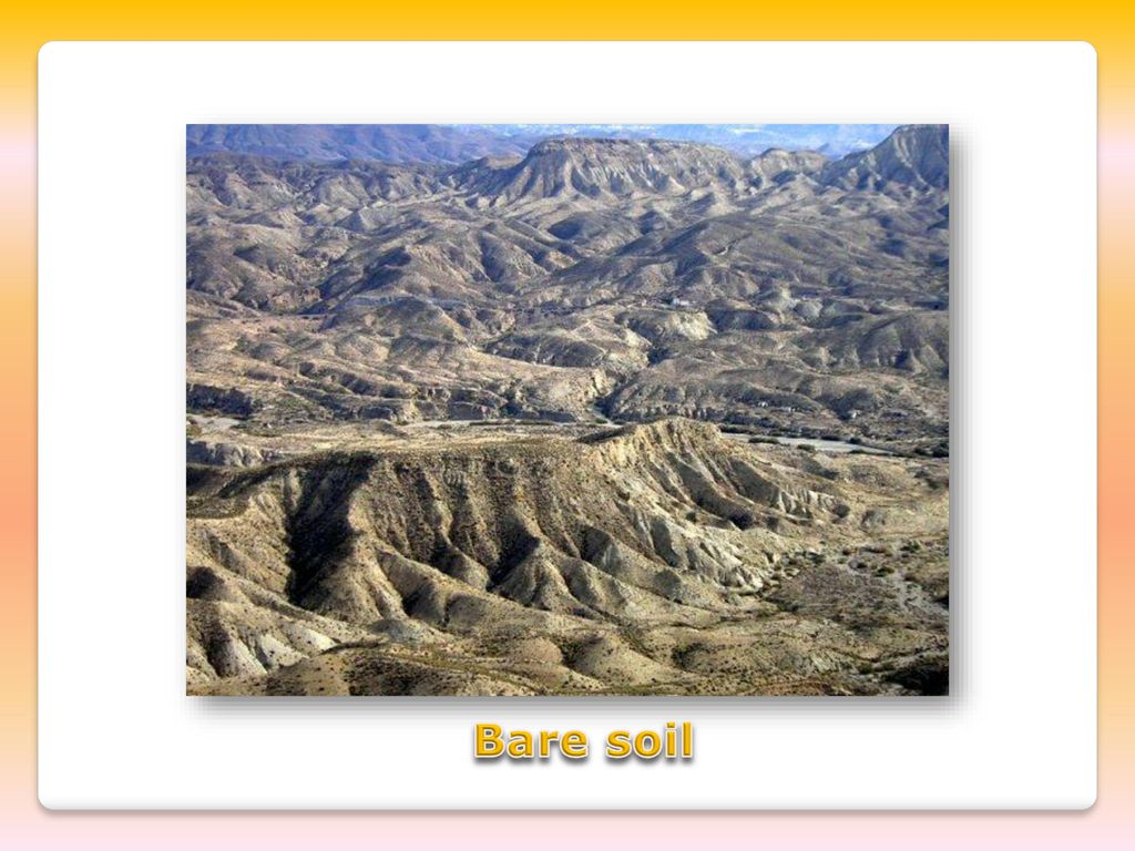 Bare soil