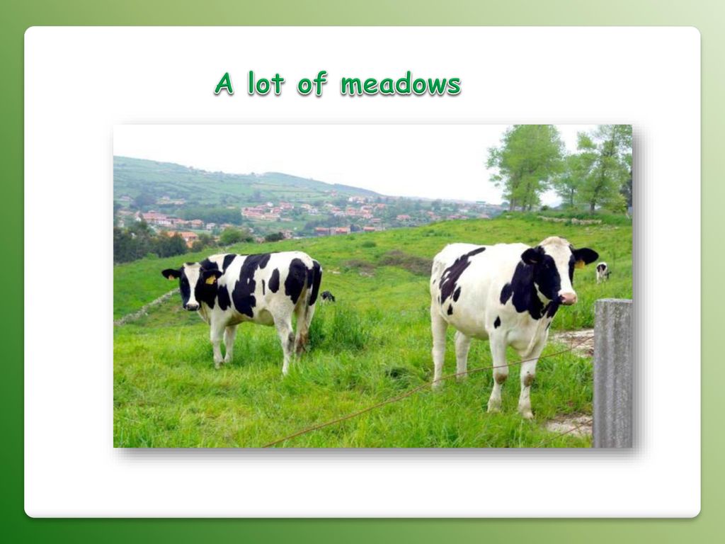 A lot of meadows