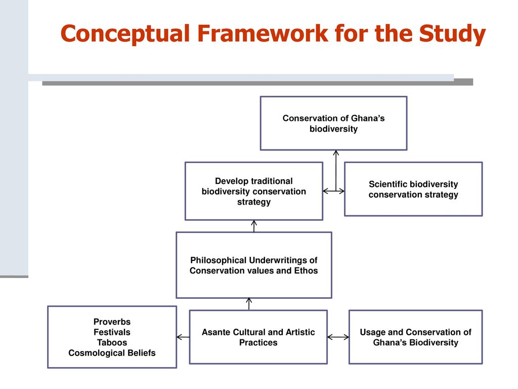 Theoretical Framework and Conceptual Framework: Rudiments of A