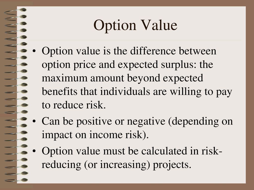 Option Value