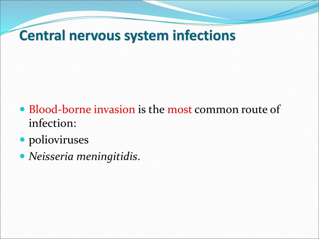 Central Nervous System Infections - Ppt Download