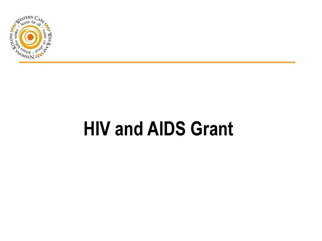 HIV and AIDS Grant District management = HC 2010 process