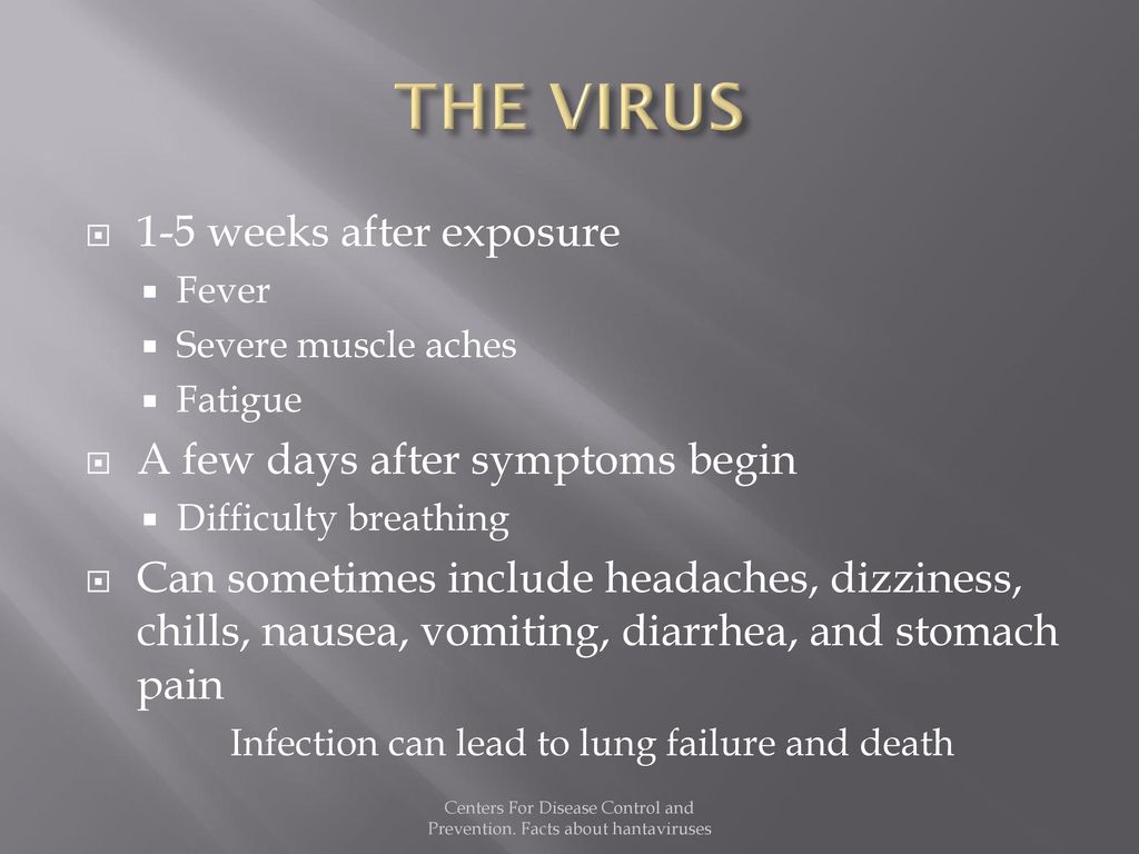 THE VIRUS 1-5 weeks after exposure A few days after symptoms begin