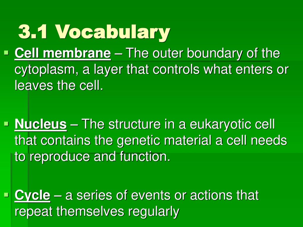 3.1 Vocabulary Cell membrane – The outer boundary of the cytoplasm, a layer that controls what enters or leaves the cell.