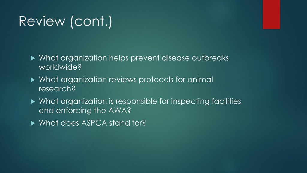 Animals in research ppt download