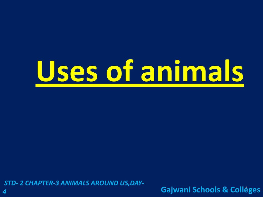Q1 Name any 5 wild animals. Q2 Name any 5 domestic animals. - ppt download