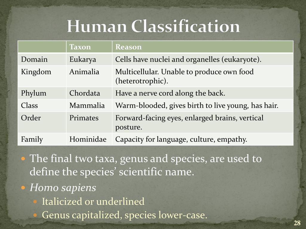 Evolution and Ecology It is not the strongest of the species that